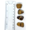  Tiger Eye Medium Tumble Stone - 1 Pc