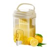 Fridge Water Pitcher with Spout & Fruit Infuser – 2L