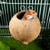 Balacoo Coconut Bird Nest for Cage: Natural Coconut Shell Parakeet