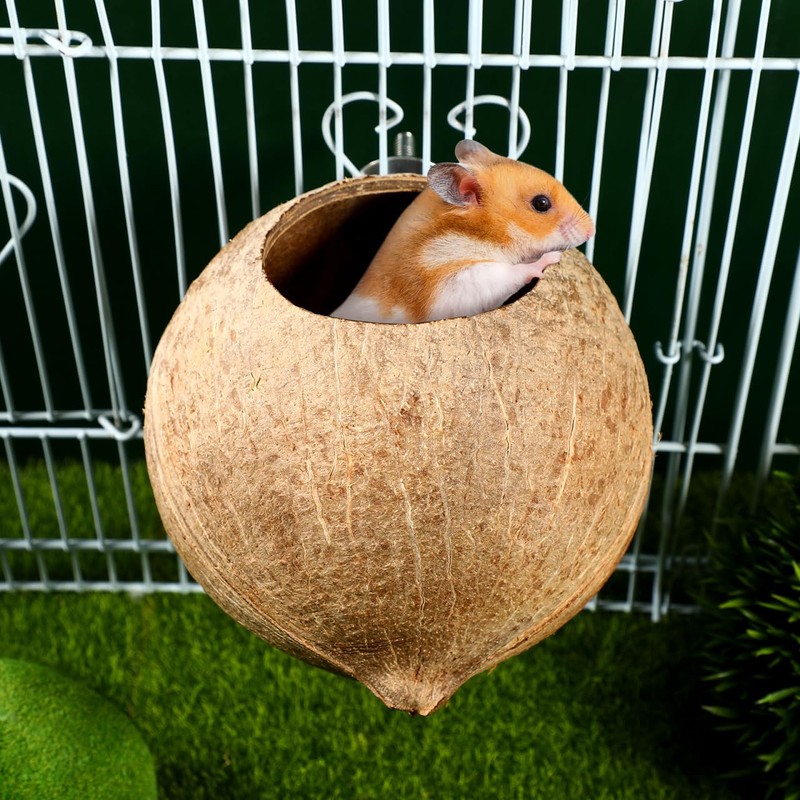 Balacoo Coconut Bird Nest for Cage: Natural Coconut Shell Parakeet