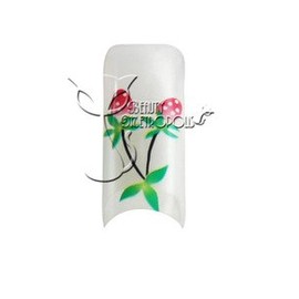 Strawberries Pre-designed Acrylic/UV Gel Artificial/False French Nail Tips (70 pcs.)