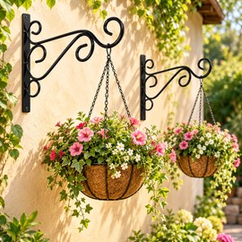 Iron Wall Plant Hanger Hooks for Hanging Flower Pots – Rustic Wall-Mounted Design for Patios, Balconies & Gardens