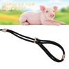 Mini Pig Supplies, Pig Harness, Adjustable 8 Feet Leash for