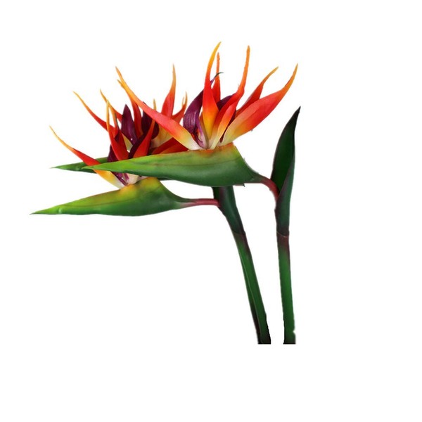 DODXIAOBEUL Large Bird of Paradise 32 Inch Permanent Flower,UV Resistant