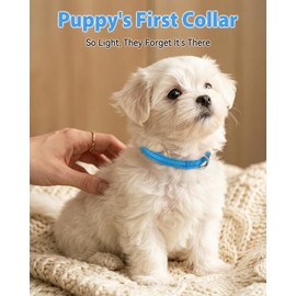 Joytale Puppy Collar, Feather-Light Double-Sided Reflective Nylon Collar for Night Safety, Adjustable Quick-Release for Extra Small Dogs, Sky Blue, XS (3/8" Width)