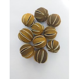 Dried Whole Green Limes, Fresh Citrus Scent, for Table Decorations, Floral Arrangements, Christmas Decorations, Potpourri, Wreaths, Home Decor