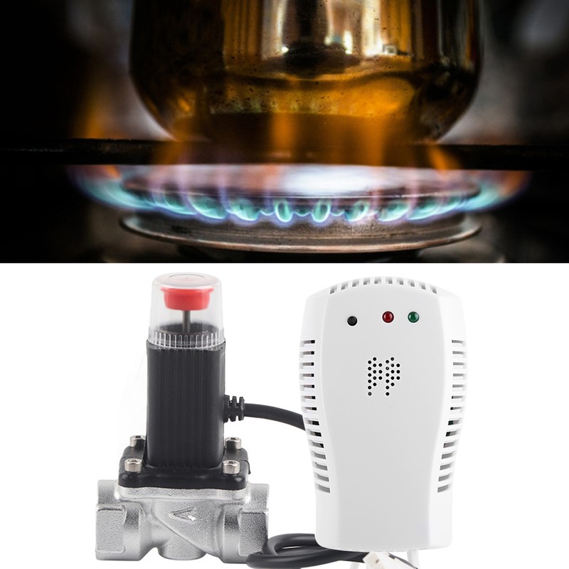 Combustion Gas Natural Gas Detector Home Gas Alarm Leakage Sensor