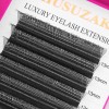 Extensiones De Pestañas Xiusuzaki 4dw En Forma De U, Color