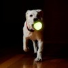 Fancy Pets Juguete Pelota Diamante Glow para Perro Brilla en