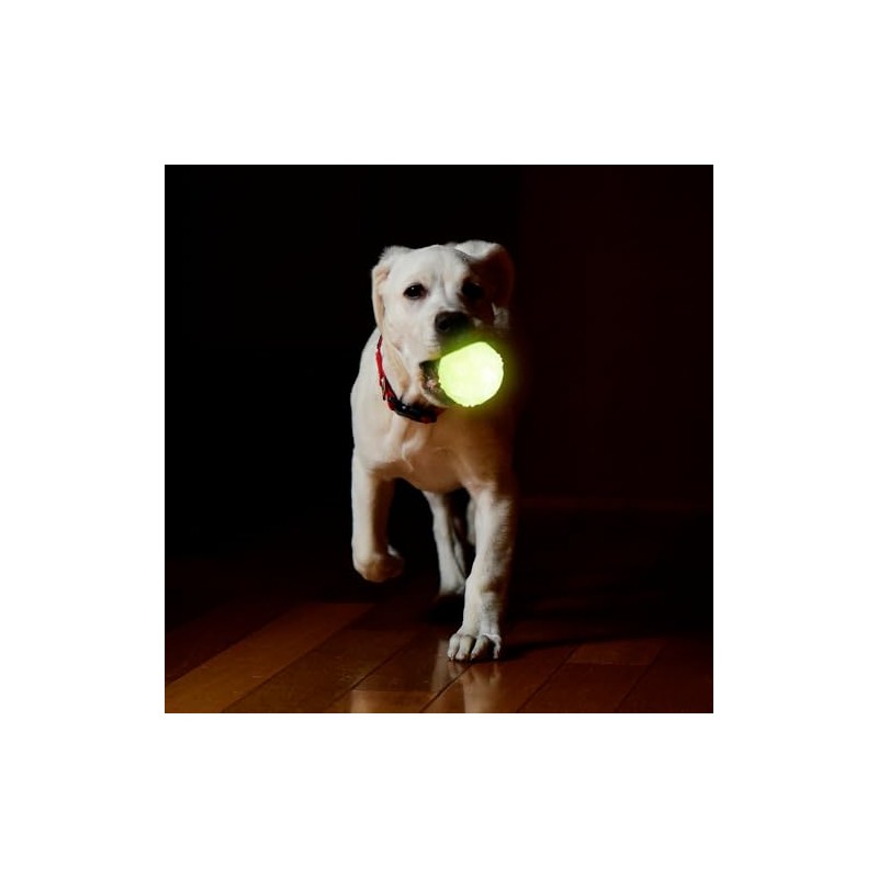 Fancy Pets Juguete Pelota Diamante Glow para Perro Brilla en