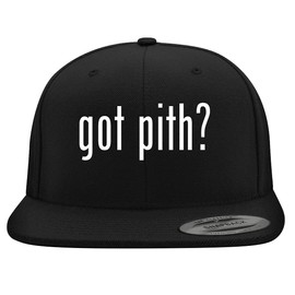 got Pith? - Embroidered Structured Flat Bill Hat | Trendy Baseball Cap for Men and Women | Modern Cap in Snapback Closure | Black | One Size