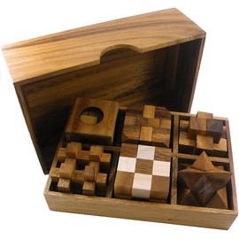 6 Wooden Puzzle Gift Set in A Wood Box - 3D Unique IQ Puzzles
