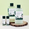 Roundlab For Men Pine Calming Cica Toner 200ml x Lotion