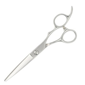DEEDS GTZ Scissor Professional Japanese Shears Maker, 6.5 Inch, For Hairdressers and Haircuts, Professional Barber
