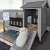 Rabbit Hay Feeder, Rabbit Feeder Hay Racks for Rabbits Guinea