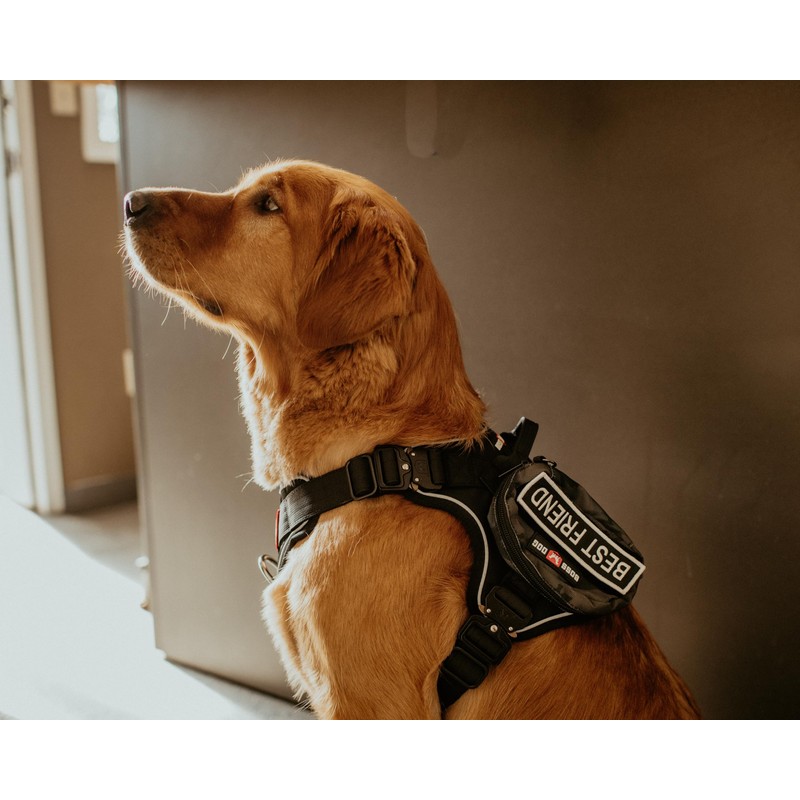 Boss Dog Tactical Molle Bag, Black Camo, Large