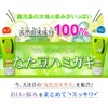 Nata-plus2-150g-kaki2 Tartar Toothpaste, Bad Breath Protection, White Teeth, Whitening, Caries