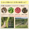 Honjien Tea Health Tea Made in Japan Tamame Tea Bag