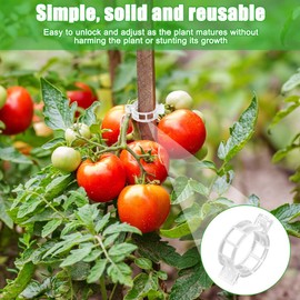 QHYCWIN 400 Pcs Plant Support Clips, 2 Types in 1 Pack, Plastic Garden Clips for Tomato, Grape, Cucumber, Vine Plants, Reusable Plant Clips for Climbing Plants (Green White)