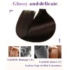 LaaVoo Tape in Extensions Human Hair Brown Tape in Hair