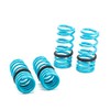 Godspeed LS-TS-NN-0002-B Traction-S Performance Lowering Springs, Reduce Body Roll, Improved