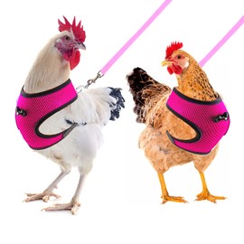 Tiimmgaal Chicken Harness and Leash, Modified Adjustable Breathable Harness Specially Designed for Rooster and Hens Duck Goose Training and Walking, Chicken Will Be Very Happy(2pcs) (Pink) M