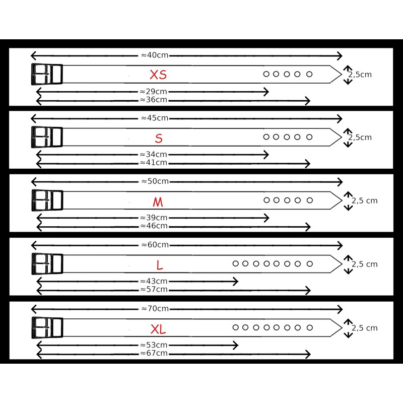 Biothane Dog Collar and Lead Medium Width (35-40 cm, Gold)
