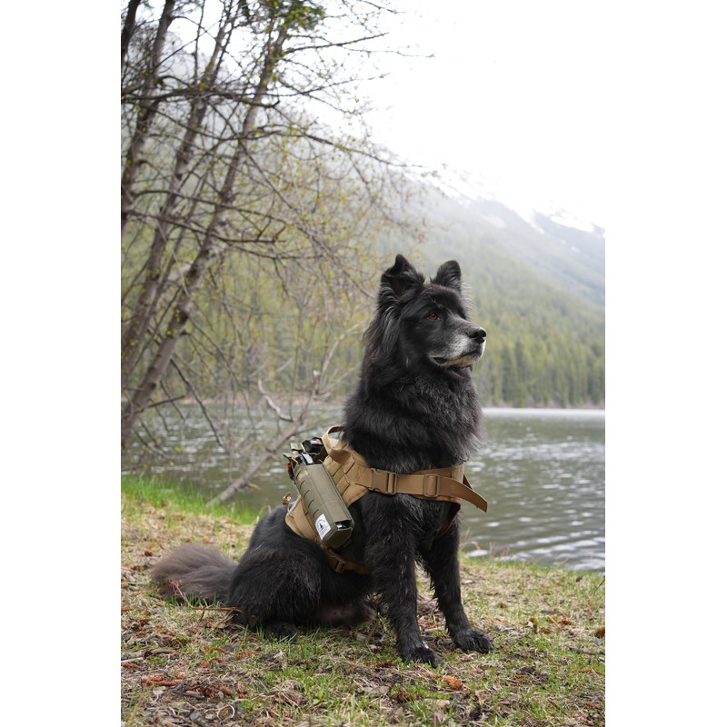 Dale & Company Tactical Bear Spray Sheath with Pouch, Green