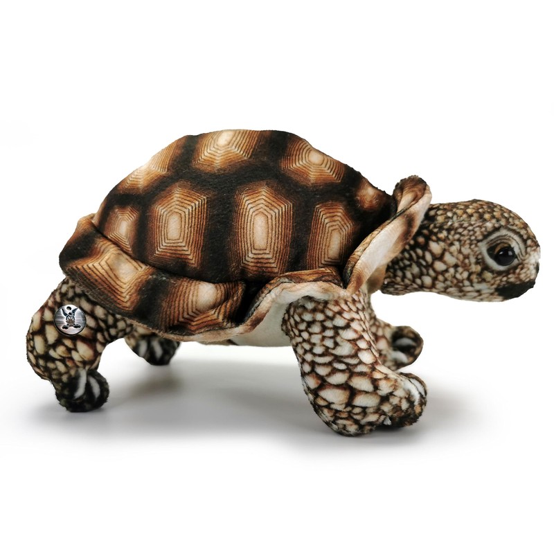 Schildkröte Landschildkröte braun Plüschtier Kuscheltier Plüschschildkröte Daphne