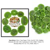 Smarty Stop Dried Fruits Great Healthy Snack (Dried Kiwi, 2
