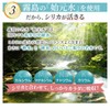Silica Energy Silicon Concentrated Solution (High Concentration Silica Canocolloid Water