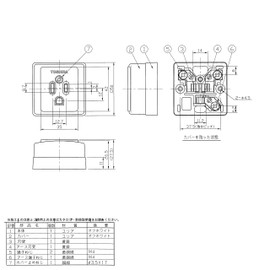東芝raitekku Exposure Outlet dc1111ew