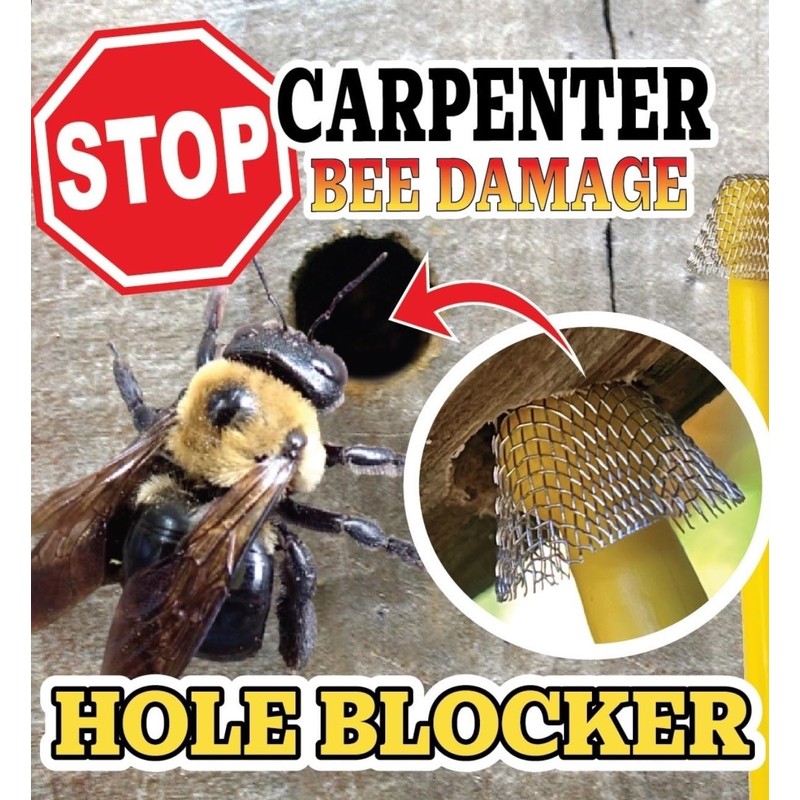 Carpenter Bee Traps for Outside – BB PRO® (200 Count)