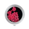 Nail Nara Art Pressed Fresh Flowers_Red (S2480755) / 아트용 생화압화_레드 (S2480755)