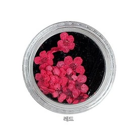 Nail Nara Art Pressed Fresh Flowers_Red (S2480755) / 아트용 생화압화_레드 (S2480755)