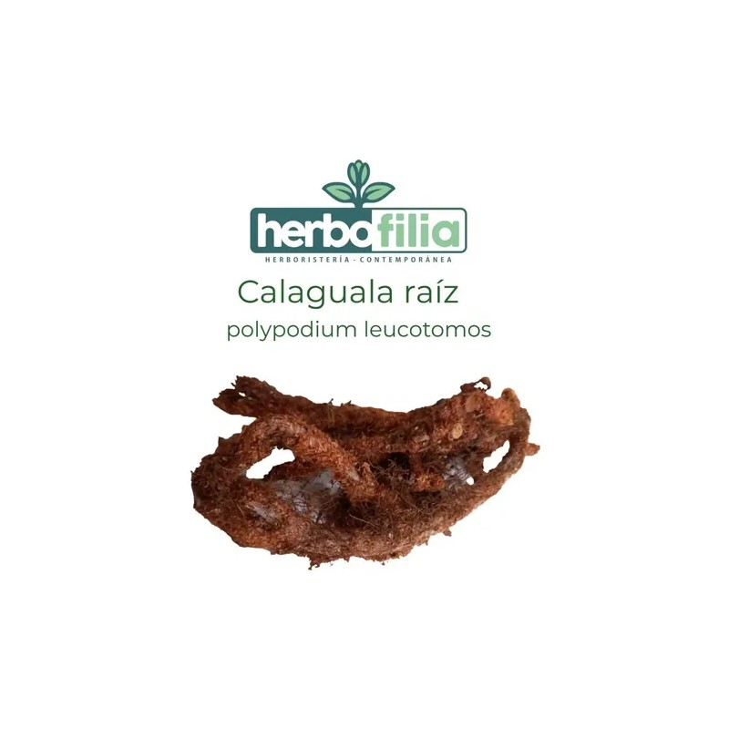 Calaguala Polypodium Leucotomos Raíz 2 Cremas De 60gr C/u