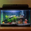 Wolfride Fish Tank Bubbler Decorations Aquarium Diver Ornament Scuba Diving