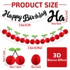 RoundFunny 3 Pack Happy Birthday Cherry Banner Party Decoration 8.