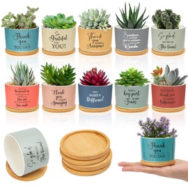 Ouvibor 10 Pcs Employee Appreciation Succulent Pots Gifts Inspirational Thank You Gifts for Coworker Team Teacher Nurse Small Ceramic Plant Pots with Bamboo Trays Thank You Present