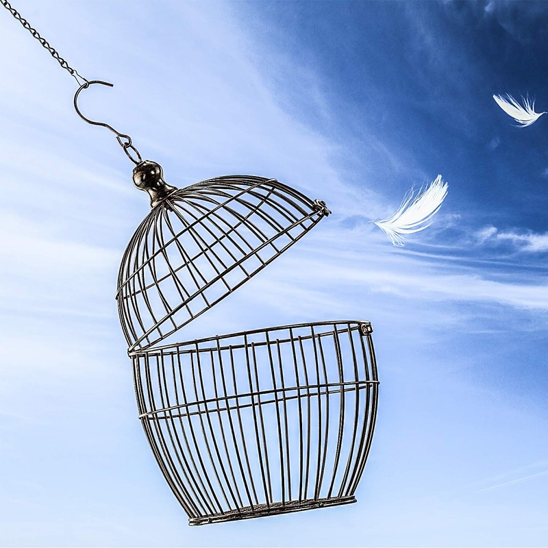 Outus Hanging Chain for Hanging Bird Feeders, Birdbaths, Planters and