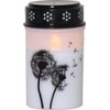 Star Dandelion LED Grave Light White / Black