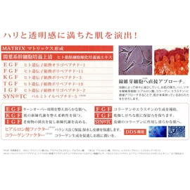 DDS MATRIX Bright Foundation