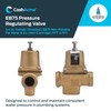 Cash Acme 3/4 Inch EB75 FPT x FPT Pressure Regulator