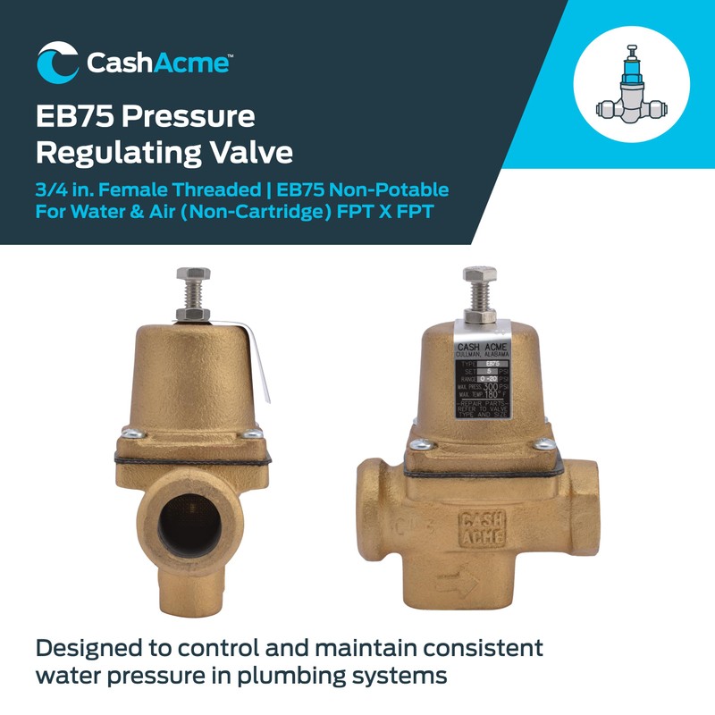 Cash Acme 3/4 Inch EB75 FPT x FPT Pressure Regulator