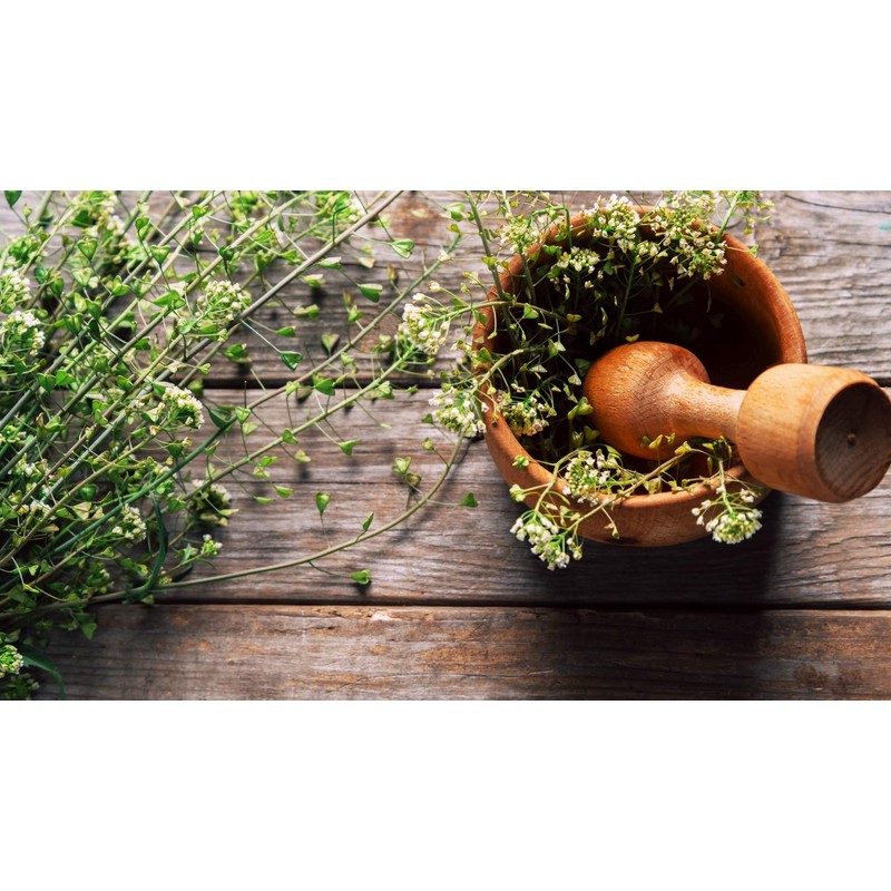 Health Embassy Shepherds Purse Herb | Capsella bursa-pastoris | Herbal