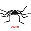 Halloween Spider Web Decoration