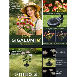 GIGALUMI 4 Pack Solar 28 Carnations Flowers Outdoor, 2 Modes, Multicolored