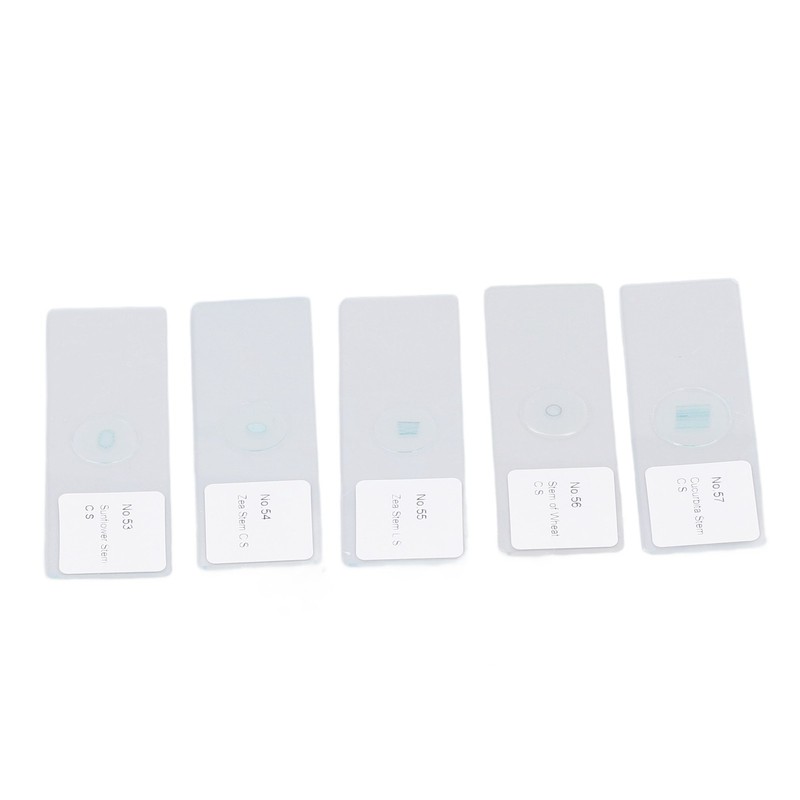 100pcs Microscope Slides Rounded Edge Plants Blank Microscope Slides for