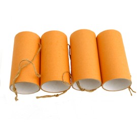 Chewchewbs Totally Degu 4 pack (Orange)