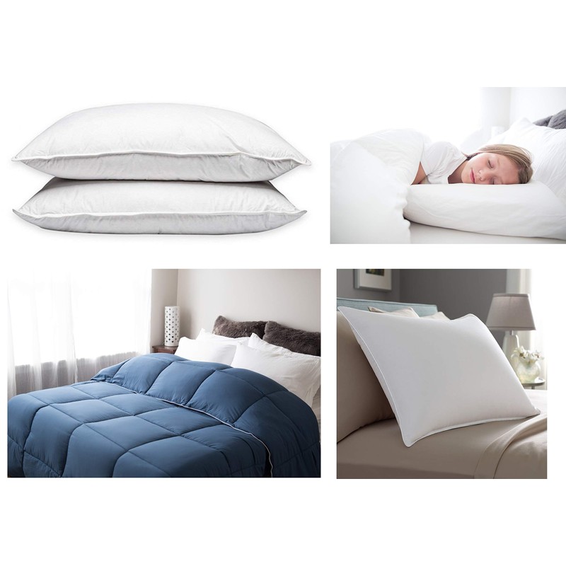 Restful Nights Trillium Standard Size 2-Pillow Set